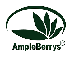 AmpleBerrys - Trusted Equipment Supplier